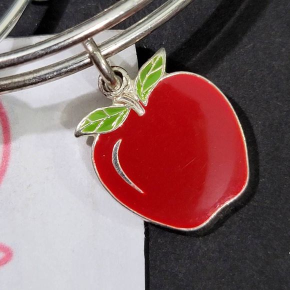 Alex and Ani Teacher Appreciation Bangle Bracelets - Picture 5 of 9